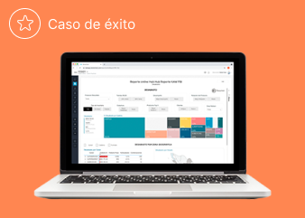 Caso de exito - Perdidas- FICHA
